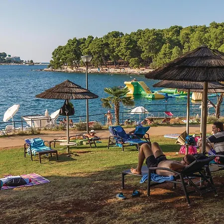 ładny W Z Wifi *